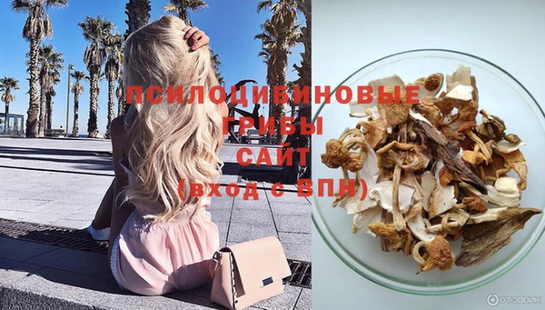 экстази Арсеньев
