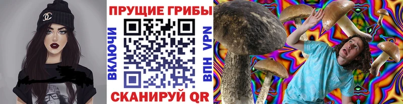 это официальный сайт Петропавловск-Камчатский Галлюциногенные грибы MAGIC MUSHROOMS даркнет сайт