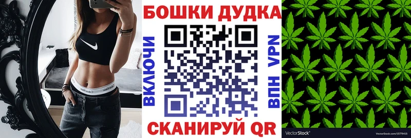 Канабис гибрид  мега ONION  Петропавловск-Камчатский  как найти закладки 